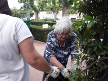 2018jardin13