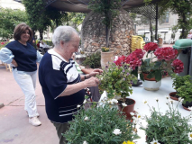 2018jardin14