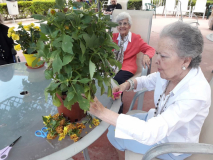 2018jardin2