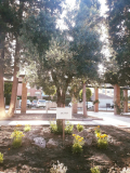 2018jardin5