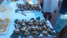 Concursotapa3